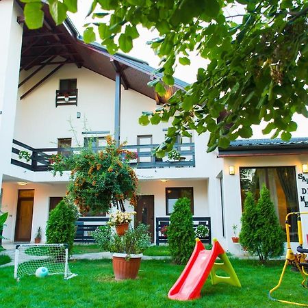 Pensiunea Puiu Afumaţi Exterior foto