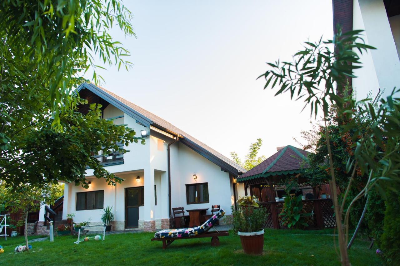 Pensiunea Puiu Afumaţi Exterior foto