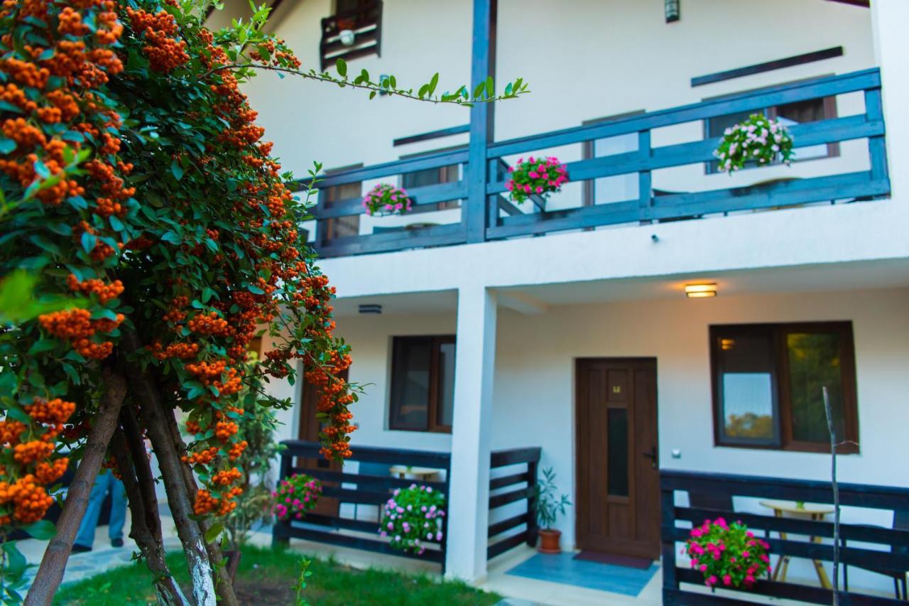 Pensiunea Puiu Afumaţi Exterior foto