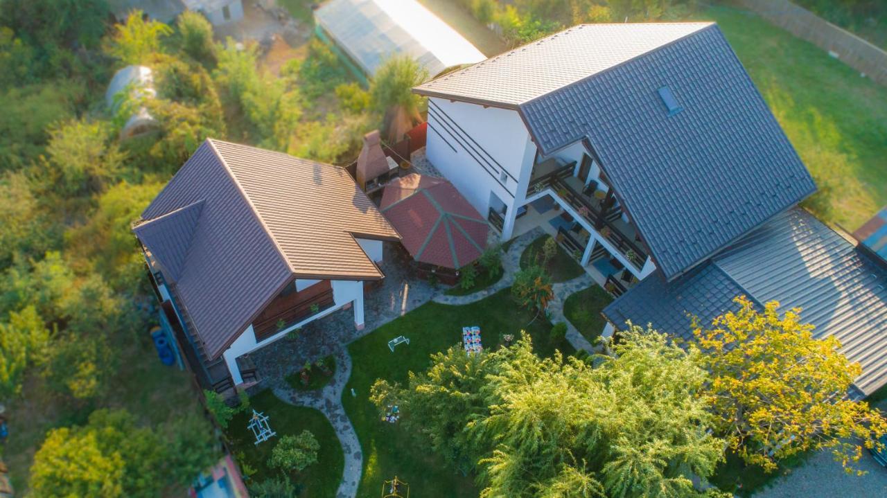 Pensiunea Puiu Afumaţi Exterior foto